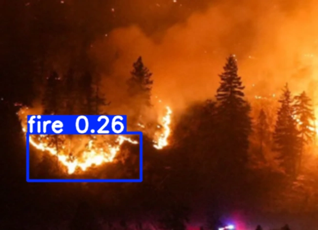 YOLO Forest fire detection